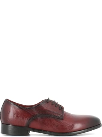 Sturlini Derby 8464n