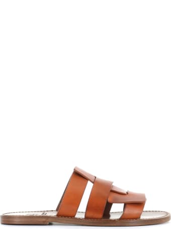 Silvano Sassetti Mule