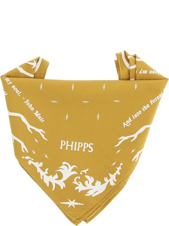 Phipps Bandana Forest