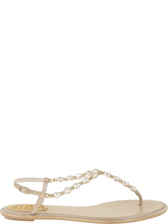 René Caovilla Cecile Flat Sandal In Beige Leather