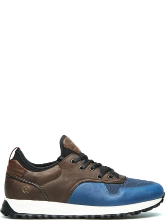 Barracuda Sneaker