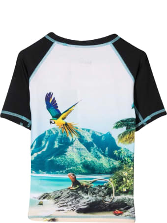 Molo Kids Multicolored Shirt