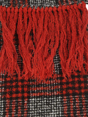 Destin Surl Fringes Long Scarf