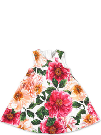 Dolce & Gabbana Dress