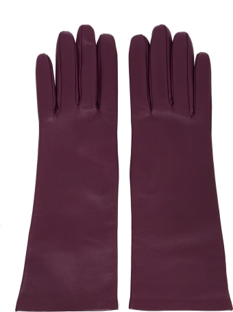 Saint Laurent Gloves
