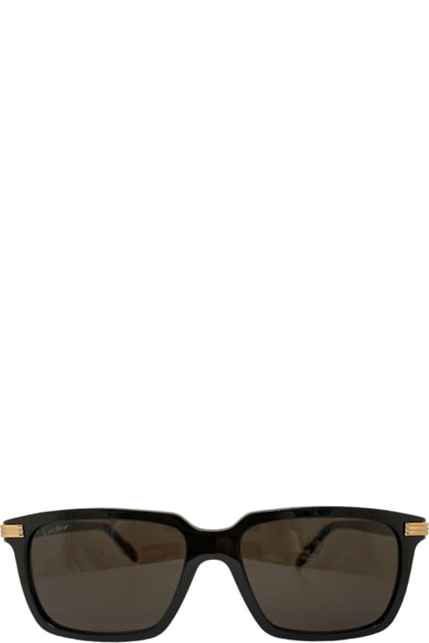Cartier Eyewear Eyewear for Women Cartier Eyewear Ct 0220 - Black Sunglasses