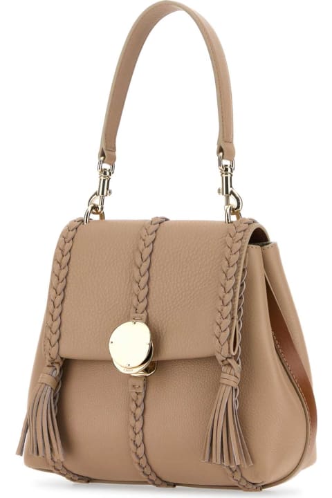 Chloé Bags for Women Chloé Skin Pink Leather Small Penelope Handbag