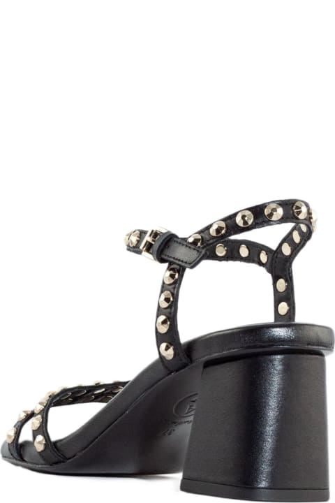 Ash Shoes for Women Ash Black Leather Jody Sandals