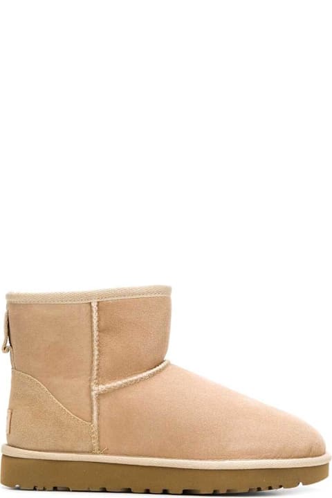 أدوات منزلية UGG Shoes