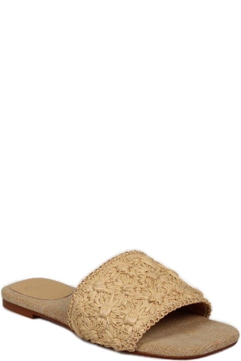 Castañer Pisa Floral Embroidered Slides