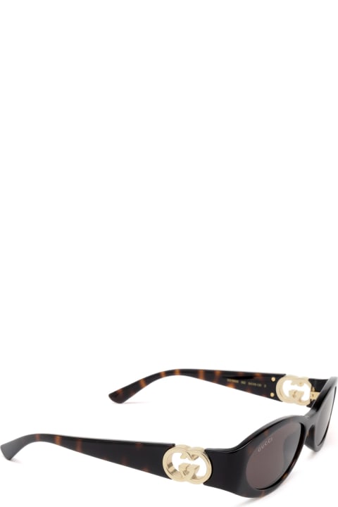 Fashion for Women Gucci Eyewear Gg1660s Havana Sunglasses