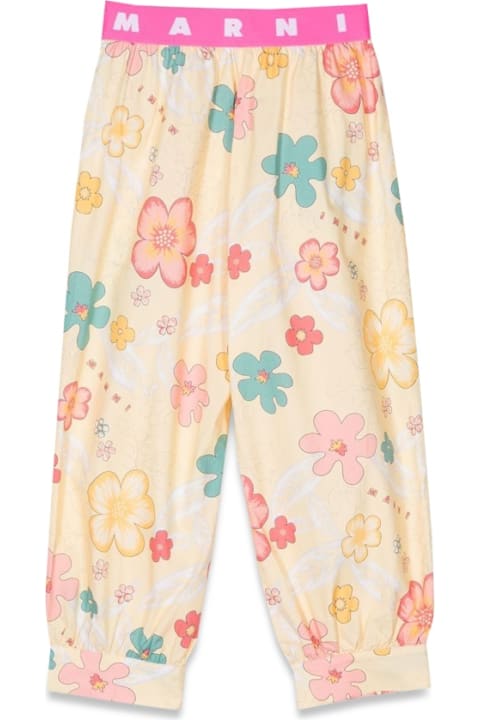 Homeware Marni Fancy Pants