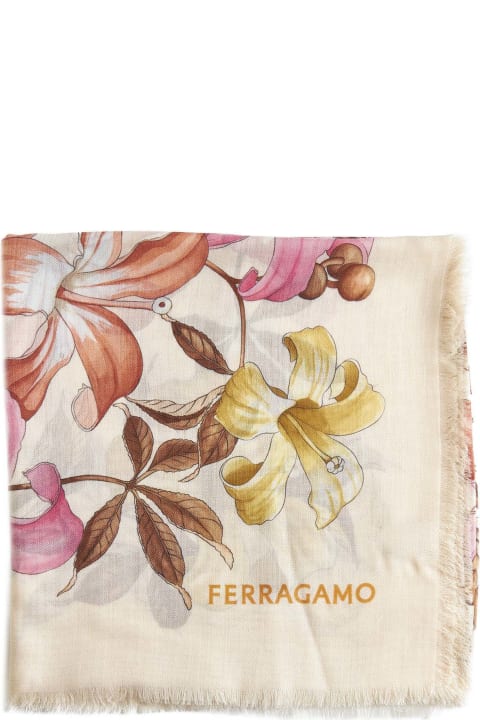 Scarves & Wraps for Women Ferragamo Scarf