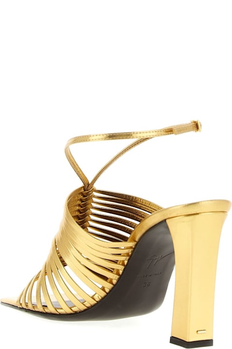 Giuseppe Zanotti Savoia Mules