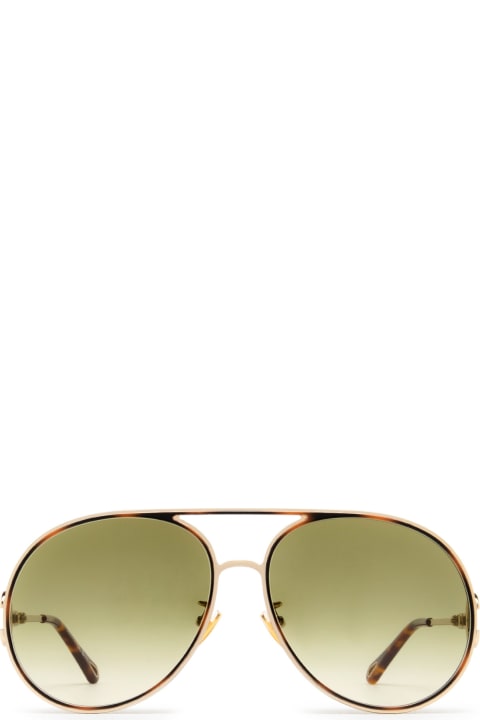 Ch0145s Gold Sunglasses