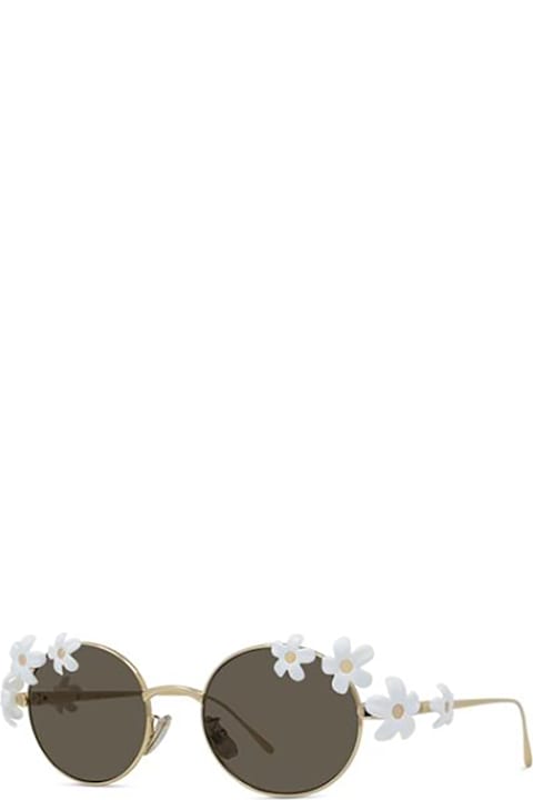 Homeware Loewe LW40173U Sunglasses