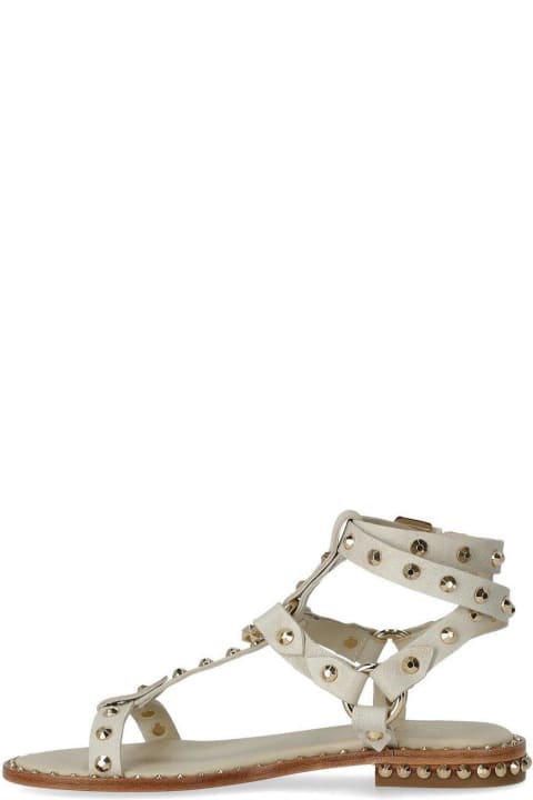 Sandals for Women Ash Pulp Studded Ankle-strap Sandals