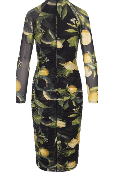 Roberto Cavalli Women Roberto Cavalli Midi Black Stretch Dress With Lemons Print