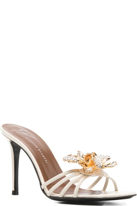 Homeware Giuseppe Zanotti Shoes