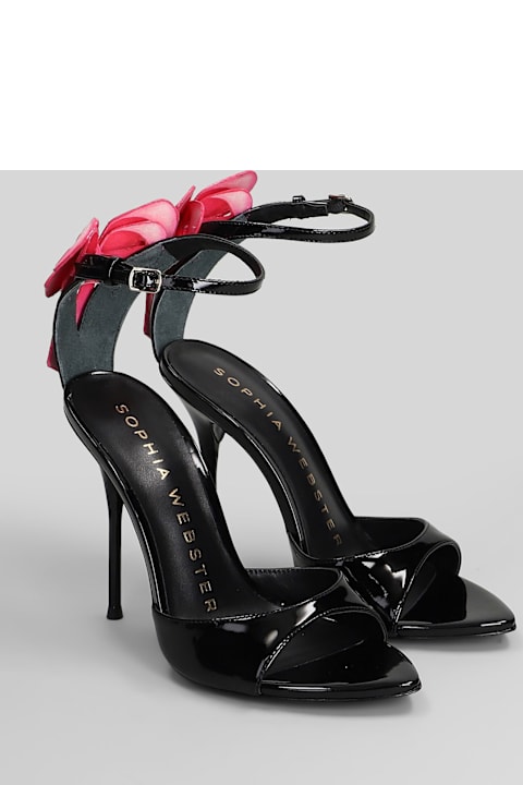 Sophia Webster لـ Men Sophia Webster Mademoiselle Sandals In Black Leather