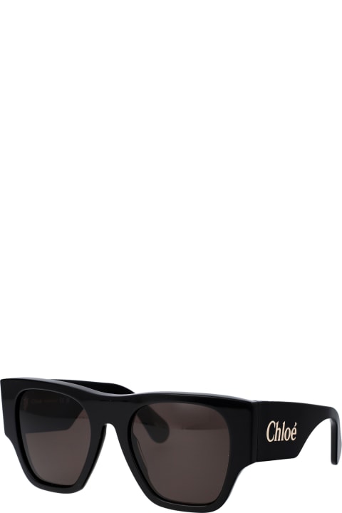 Homeware Chloé Eyewear Ch0233s Sunglasses