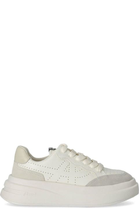 Ash Shoes for Women Ash Impuls Bis Perforated Detailed Chunky Sneakers
