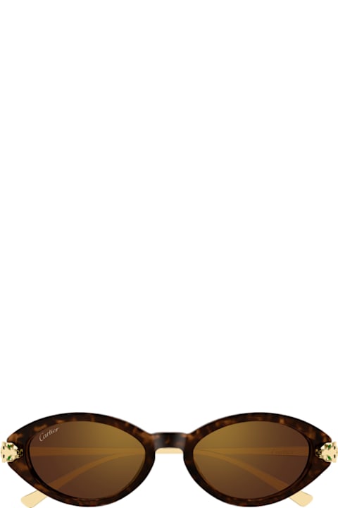 Cartier Eyewear for Kids Cartier Eyewear Cartier Ct0634s Panthère De Cartier 002 Havana Gold Brown Sunglasses