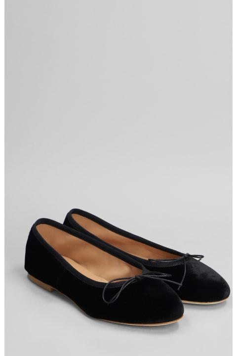 آخر صيحات الموضة من السيدات Anniel Ballet Flats In Black Velvet