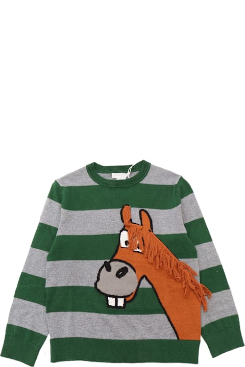 Stella McCartney Kids Topwear for Boys Stella McCartney Kids Jumper