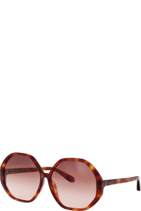 Paloma Sunglasses