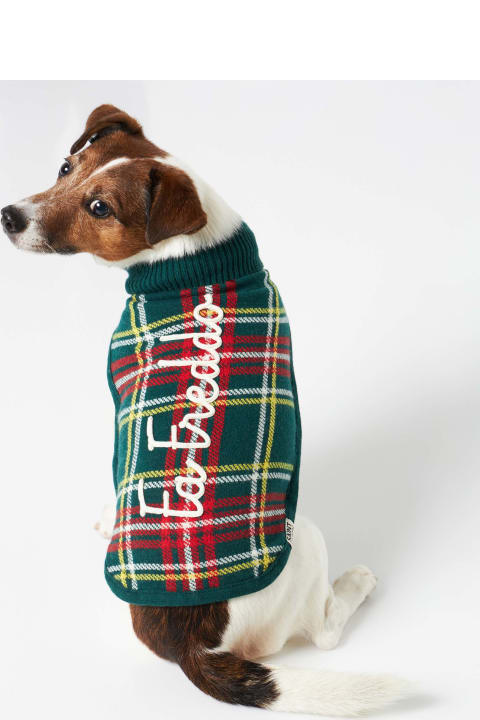 Homeware MC2 Saint Barth Dog Sweater With Tartan Jacquard