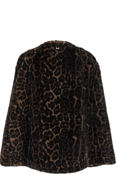 Apparis for Men Apparis Sloane Leopard Cape