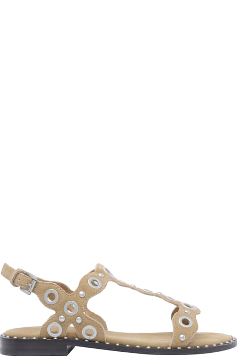 Ash for Men Ash Pop Sandals