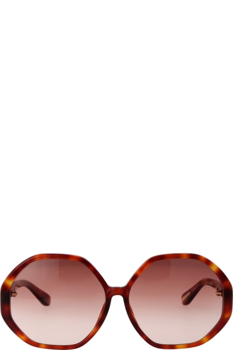 Paloma Sunglasses