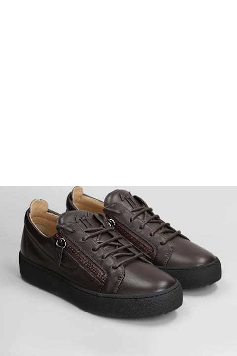 Shoes for Men Giuseppe Zanotti Frankie Sneakers In Brown Leather