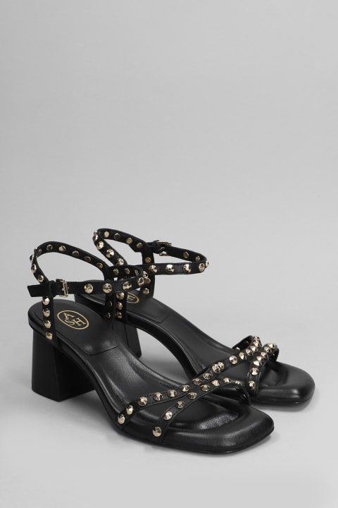 Ash Shoes for Women Ash Jody Sandals In Black Leather