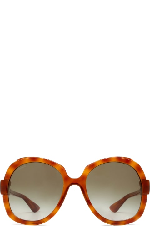 Gucci Eyewear Eyewear for Women Gucci Eyewear Gg1432s Havana Sunglasses