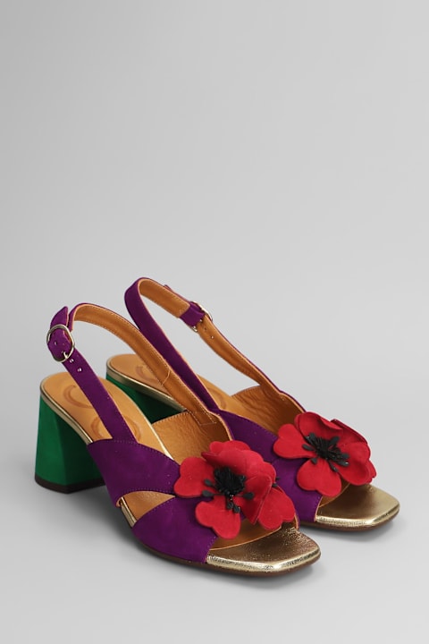 Chie Mihara Shoes for Women Chie Mihara Rutina 46 Pumps In Viola Suede