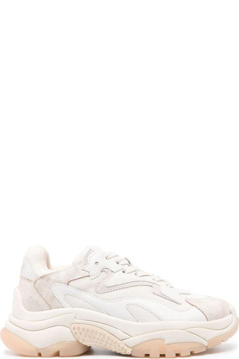 Ash Sneakers for Women Ash Cream White Suede Sneakers
