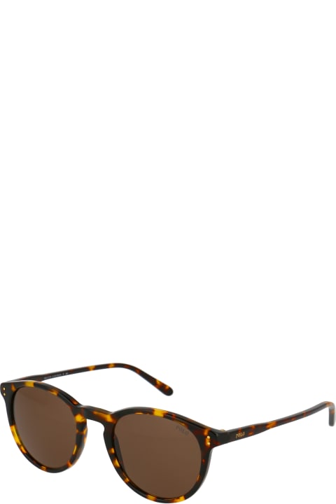 メンズ新着アイテム Polo Ralph Lauren 0ph4110 Sunglasses