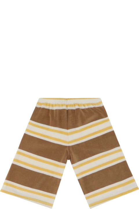 Shorts For Boy