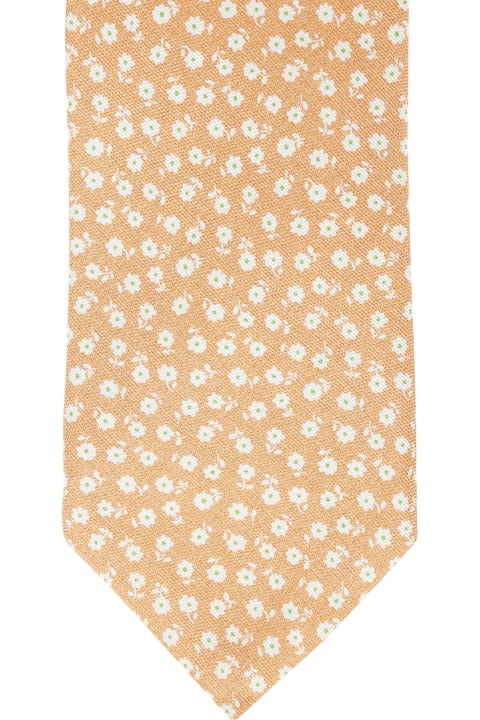 Ties for Men Bigi Tie