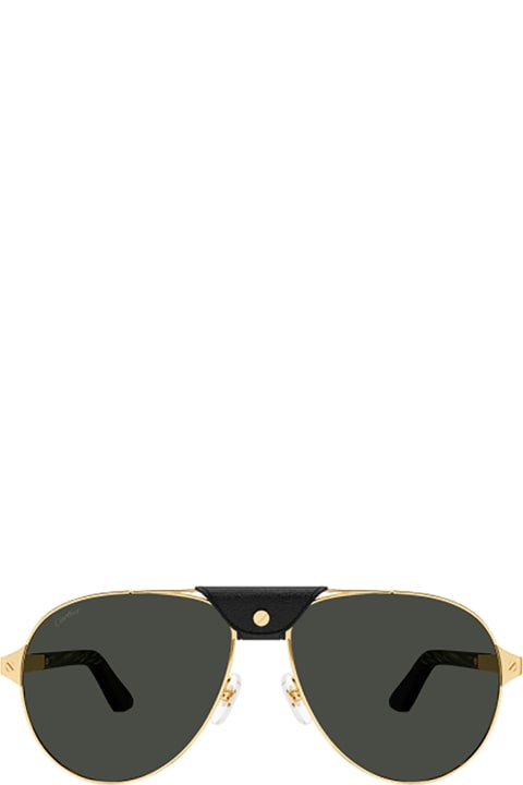 Cartier Eyewear Accessories for Men Cartier Eyewear Ct0387s Sunglasses