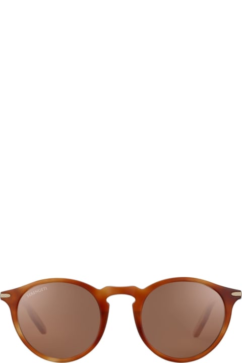 メンズ Serengeti Eyewearのアイウェア Serengeti Eyewear Raffaele 8953 Sunglasses