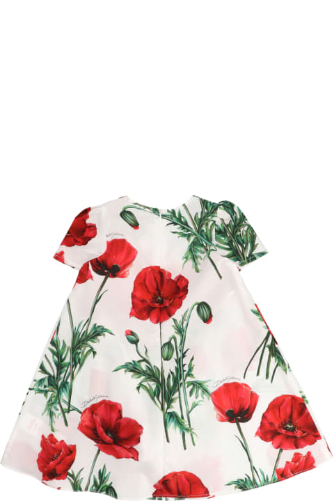Floral Printed Dress