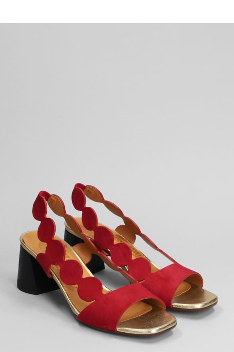 Shoes for Women Chie Mihara Roka Sandals In Red Suede