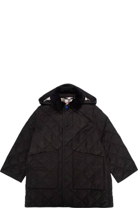Burberry Kb6 Rowan