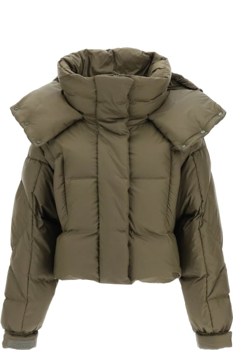 'puffa Ring Wlt' Cropped Puffer Jacket With Snap-off Hood