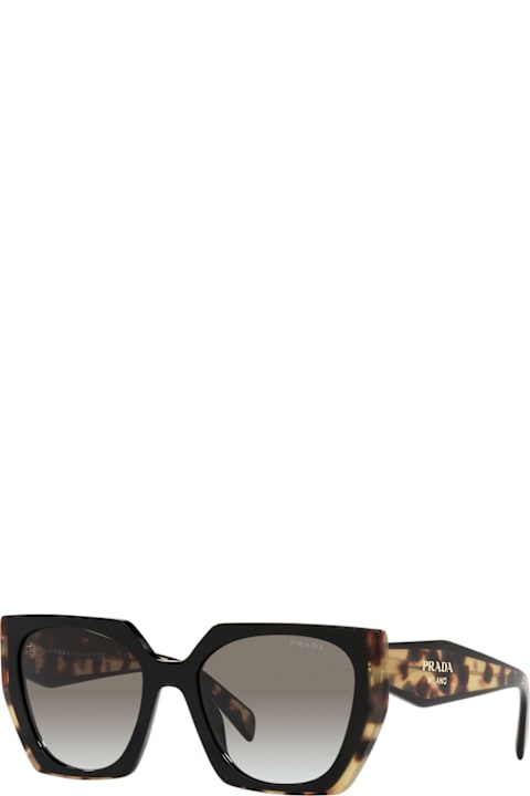 Prada Eyewear Eyewear for Women Prada Eyewear Prada Pr15ws 3890a7 Black Havana Sunglasses