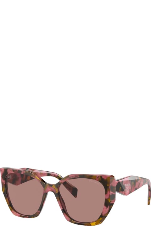 Fashion for Women Prada Eyewear Pr19zs Symbole 18n10d Havana Rosa/ Marrone Sunglasses